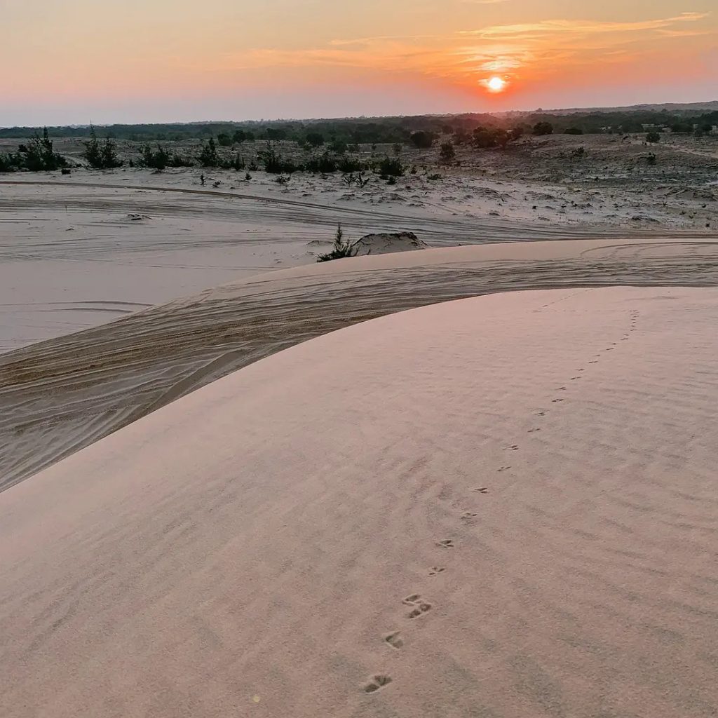White Sand Dunes at sunset